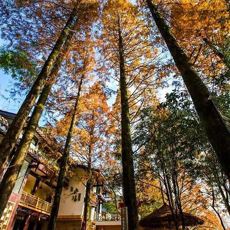 Wuyi Mountain Ancient Street Forest Living England Time Inn 우이산 외부 사진