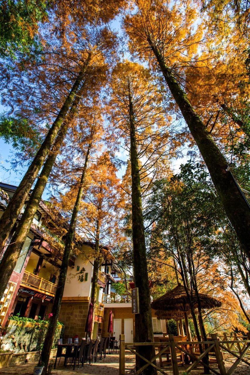 Wuyi Mountain Ancient Street Forest Living England Time Inn 우이산 외부 사진